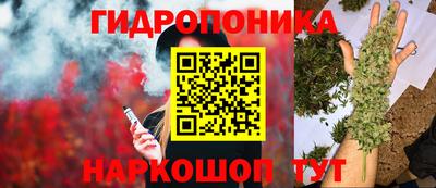 сатива Бузулук