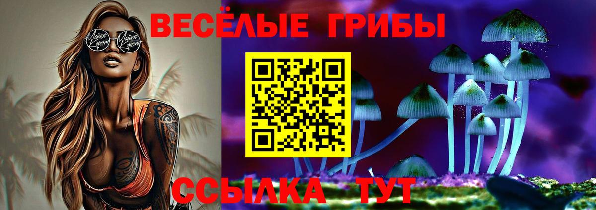Псилоцибиновые грибы мицелий Шатура