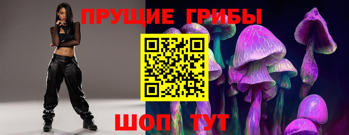 Шатура  Псилоцибиновые грибы ЛСД  Вход с VPN 